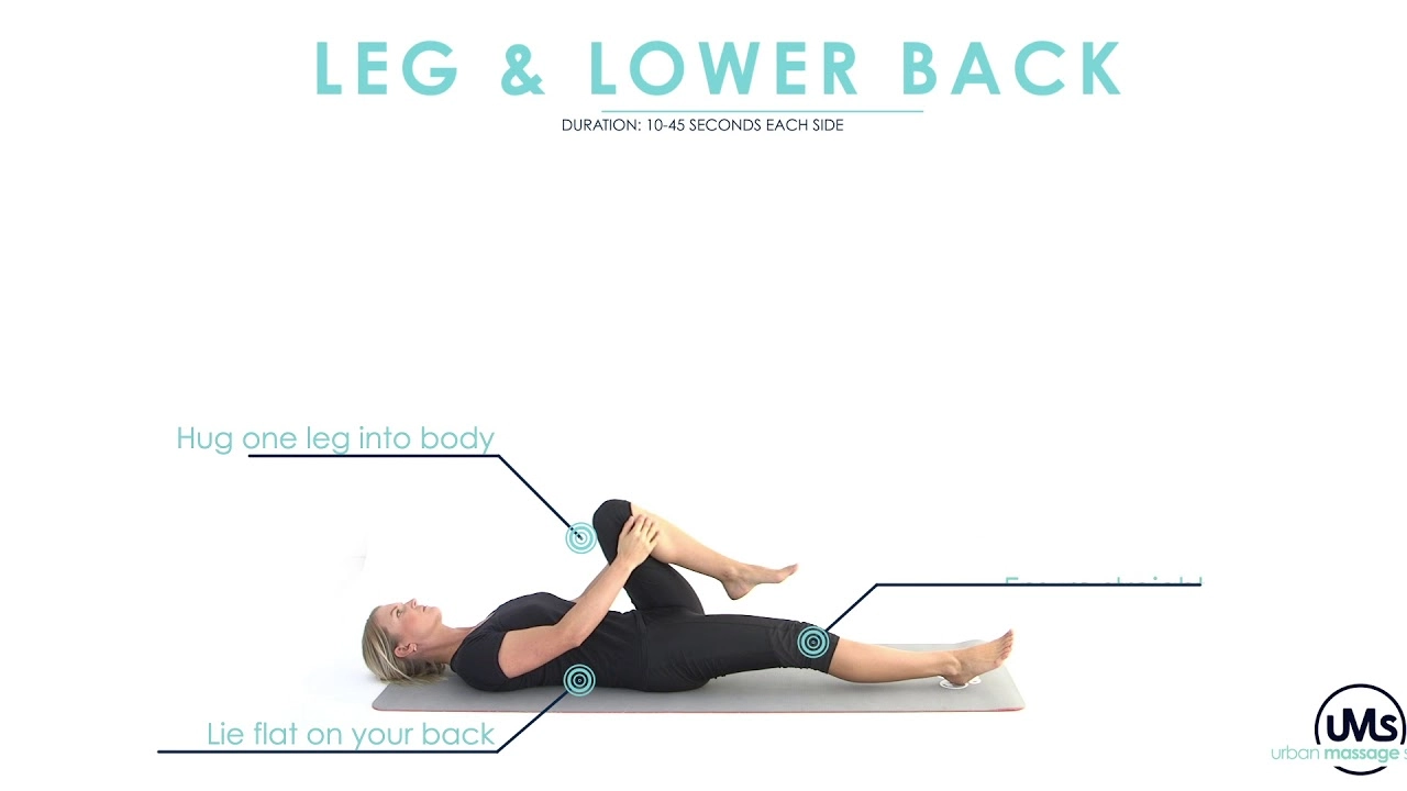 Leg & Lower Back
